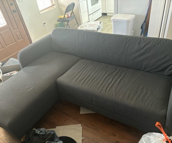 monarch junk removal